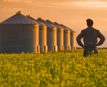 Agriculture
